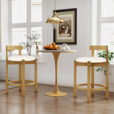 24 Inch Teddy Velvet Upholstered Counter Height Bar Stools with Backrests and Footrests-Set of 2