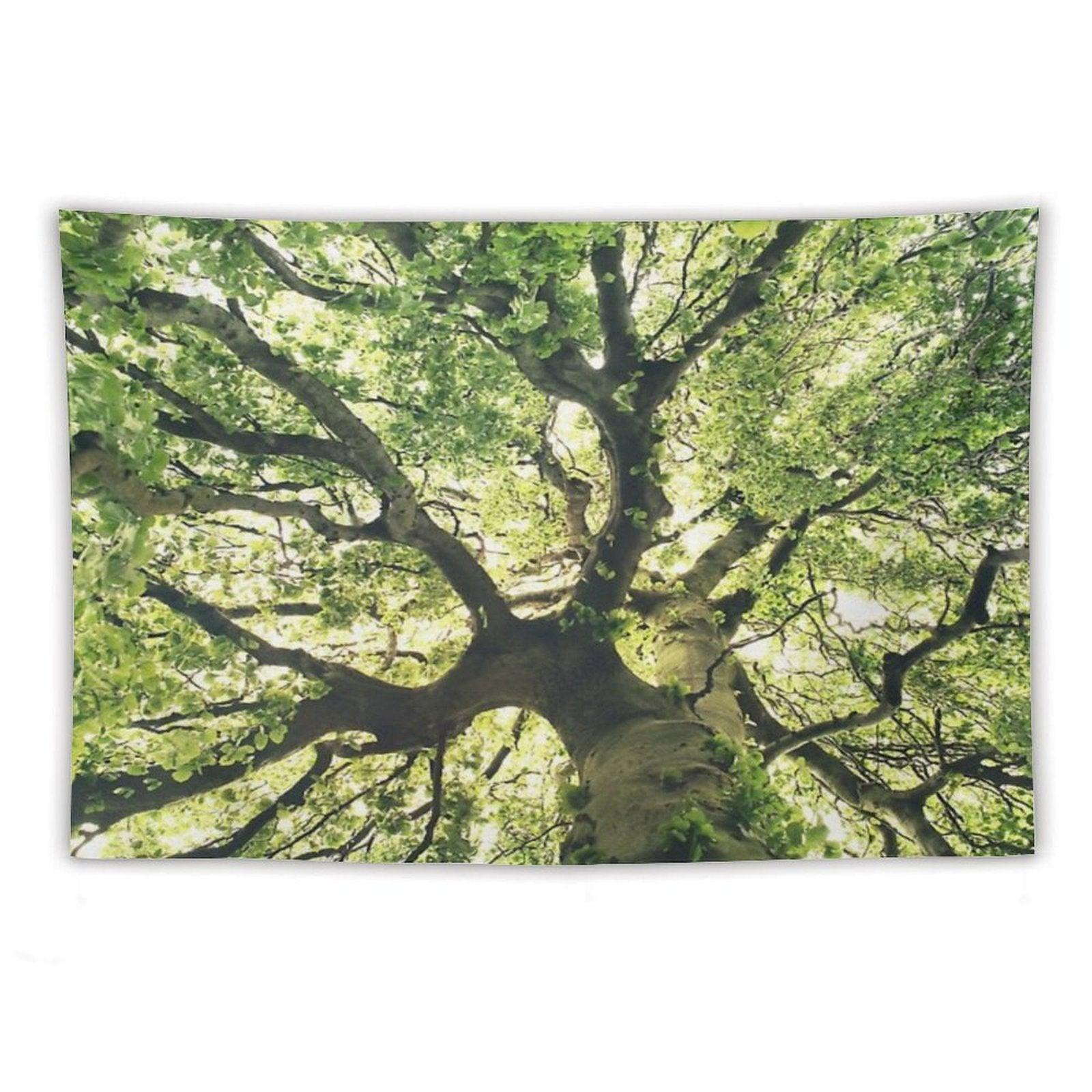 Under Your Skin  Under Your Skin  Summer Breeze In A Wilderness Fairytale Forest With A Tree Covered In Magic Sunlight Tapestry