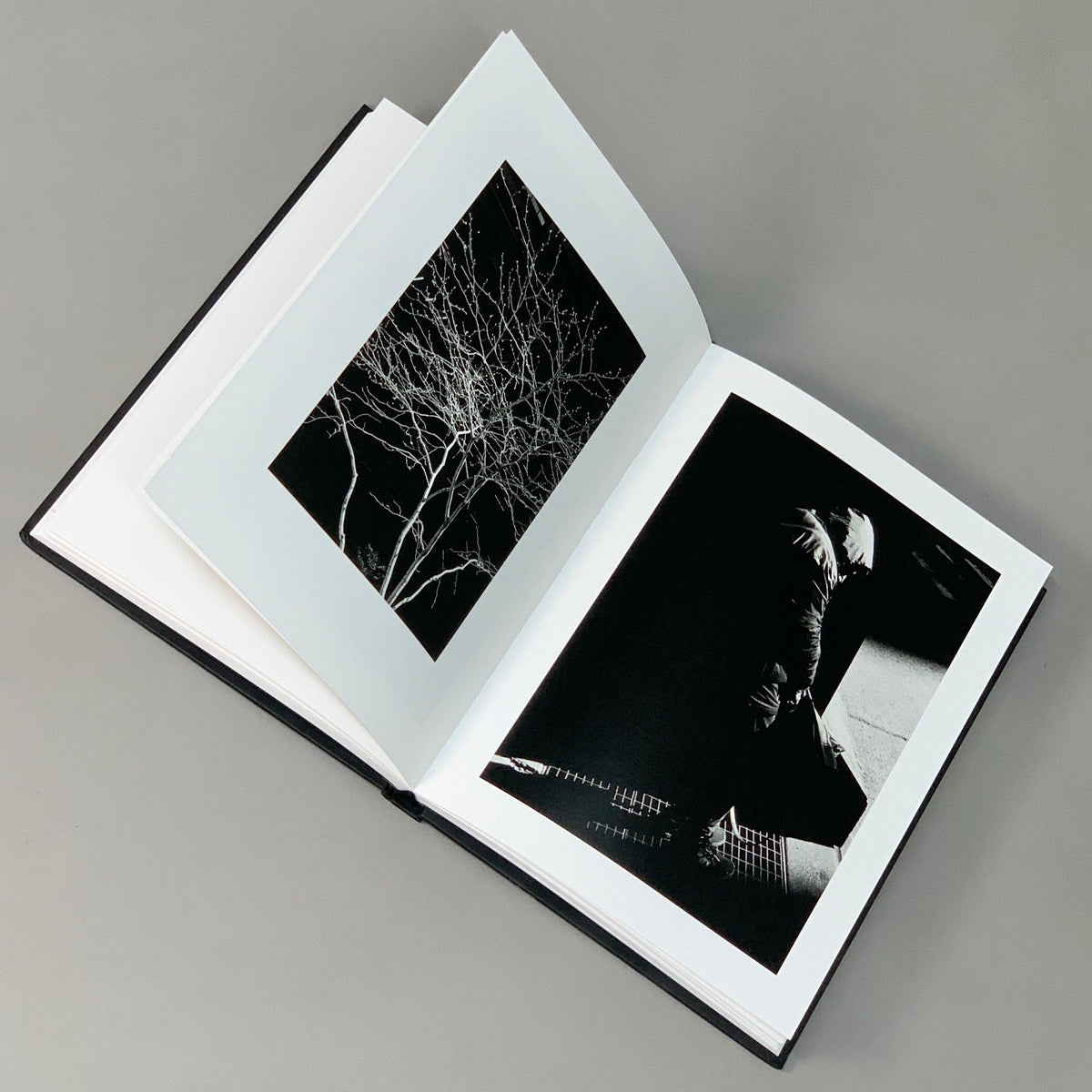 QUEST Book by Alexandre de Mortemart Photographer Black & White Artist (New other)