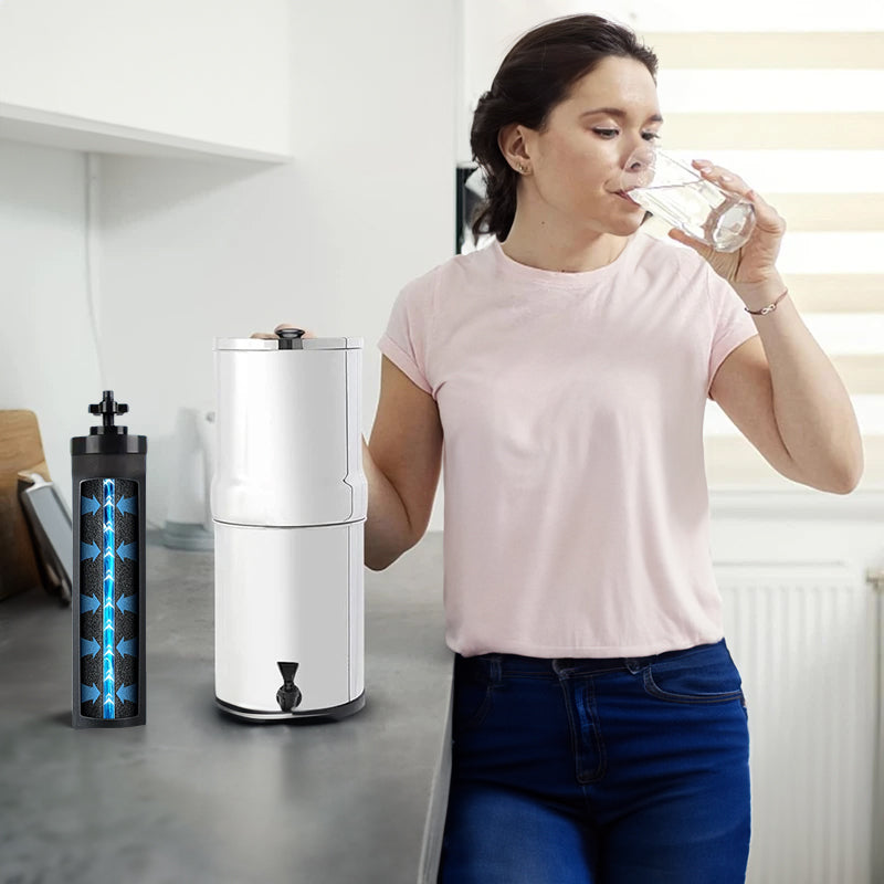 Compatible Replacement Filter for Berkey Countertop Water Purification System - BB9 - 2 Activated Carbon Water Filter Cartridge