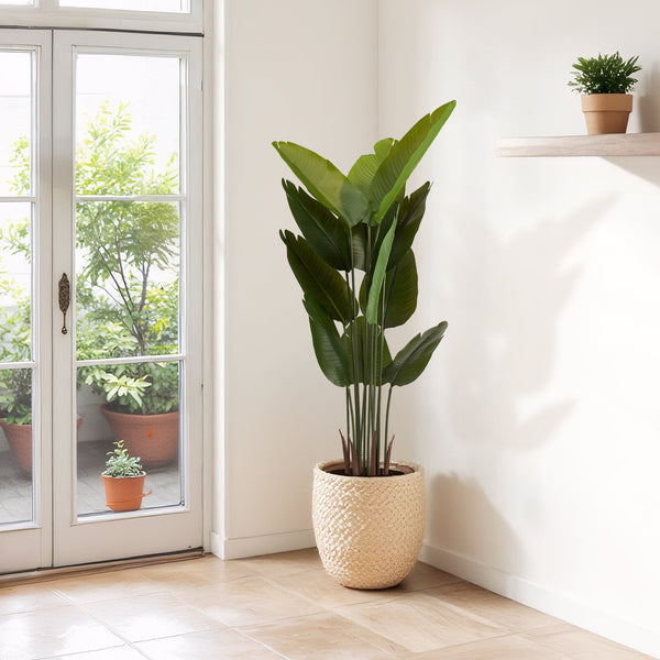 Artificial Bird of Paradise Plant 160cm Tall Faux Tropical Palm Tree Green Plastic Indoor Outdoor Decoration