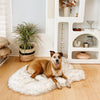 PupRug by Paw.com® Faux Fur Orthopedic Dog Bed - Curve White with Brown Accents - Medium (40" L x 25" W)