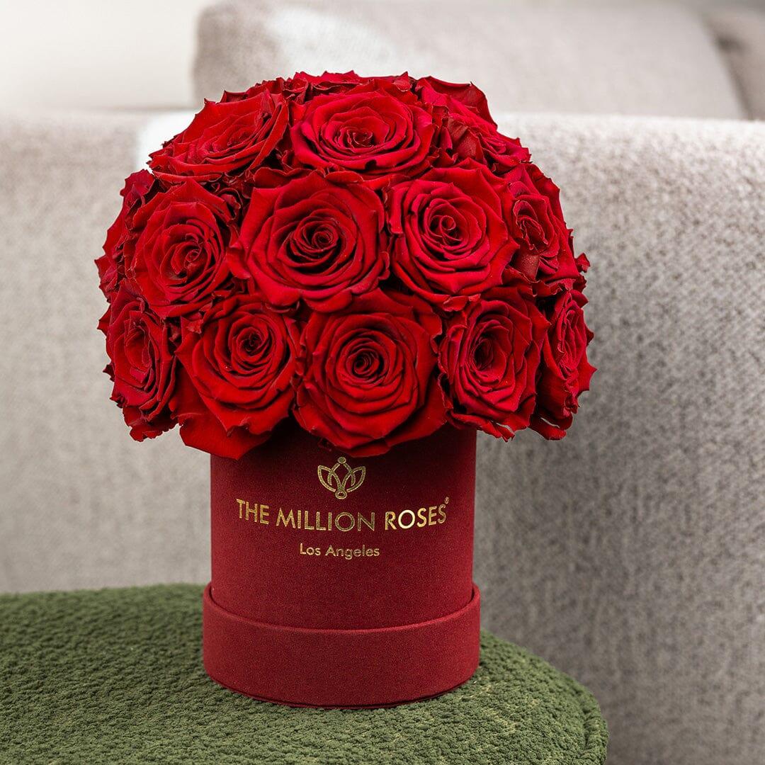 Essence Bordeaux Suede Superdome Box | Red Roses
