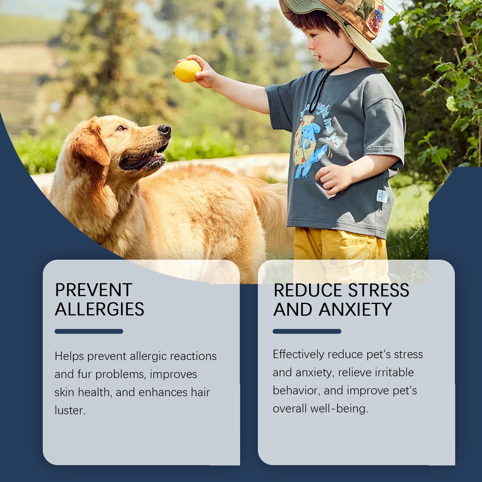 Food Supplement For Dogs, Immune-Boosting Healthy Dietary Supplement For Dogs