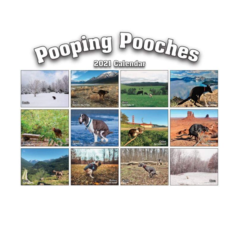 2021 Pooping Pooches Calendar White Elephant Gag Gift Calendar 2021 Calendar Poster Retro Decor Painting