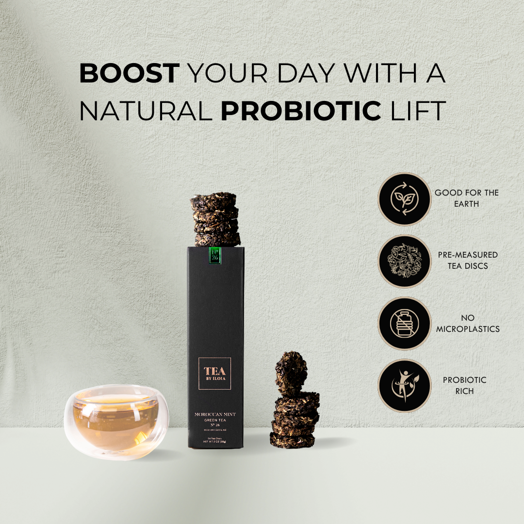 iLOLA Humidor Starter Set – Tea Aging + Storage System