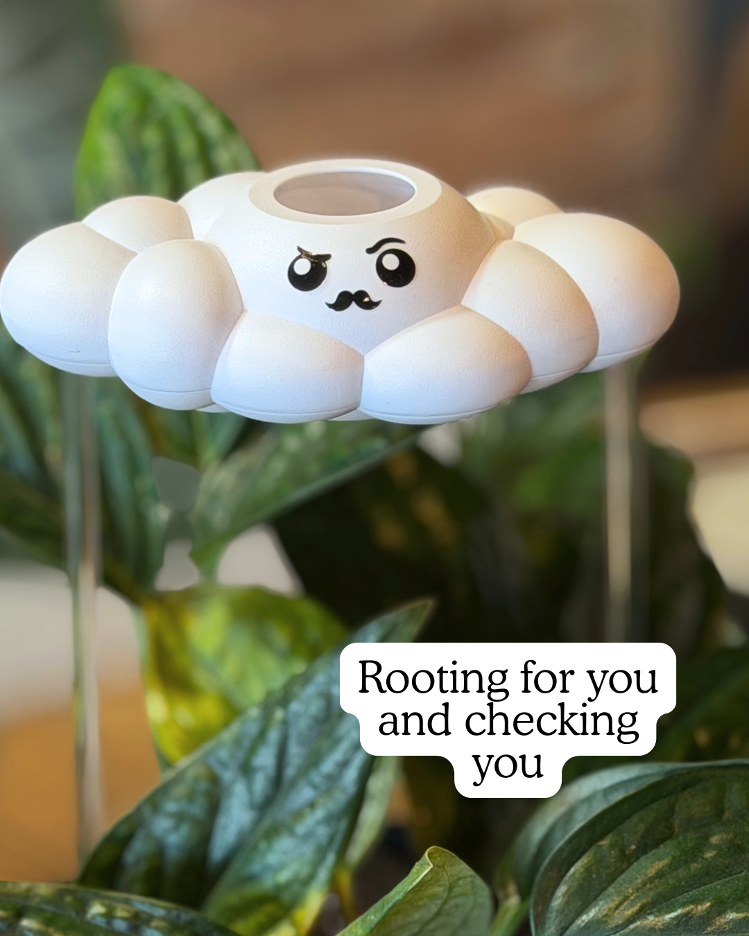 Carl the Cloud