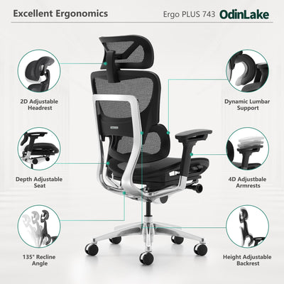 OdinLake O1 (Ergo PLUS 743) | Flex Mesh Ergonomic Chair