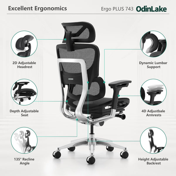 OdinLake O1 (Ergo PLUS 743) | Flex Mesh Ergonomic Chair
