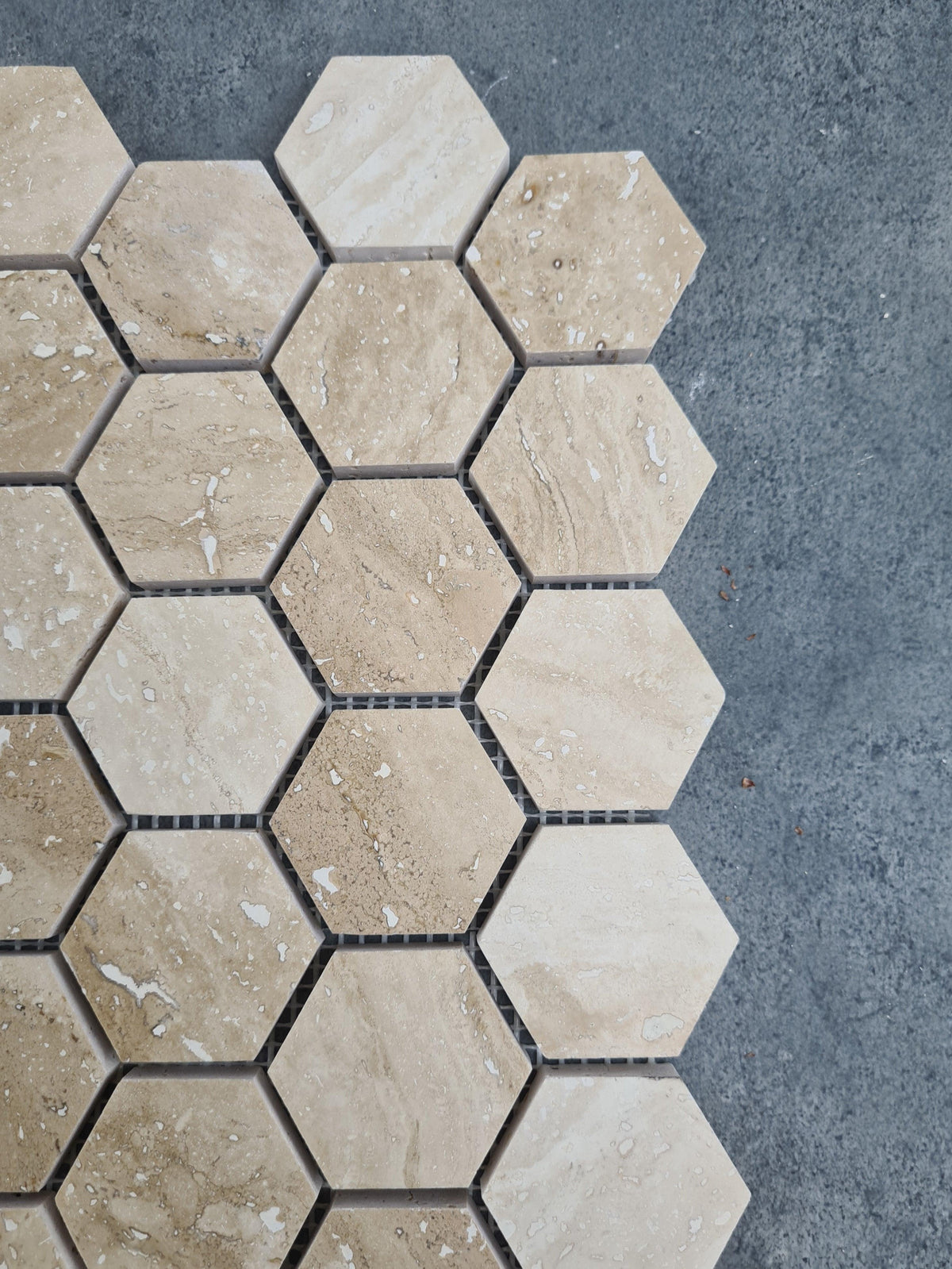 Patara Hexagon 12