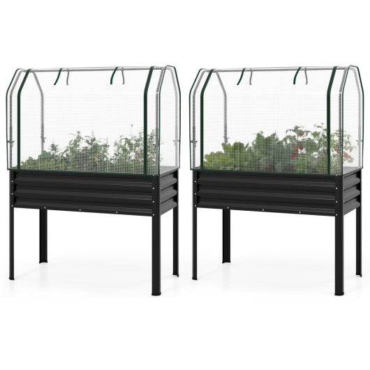 2 Pieces Galvanized Raised Garden Bed with Legs and Greenhouse Cover for Vegetable Flower-Black