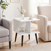 2-Tier Mid Century Modern End Table with 2 Compartments and Metal Legs-White