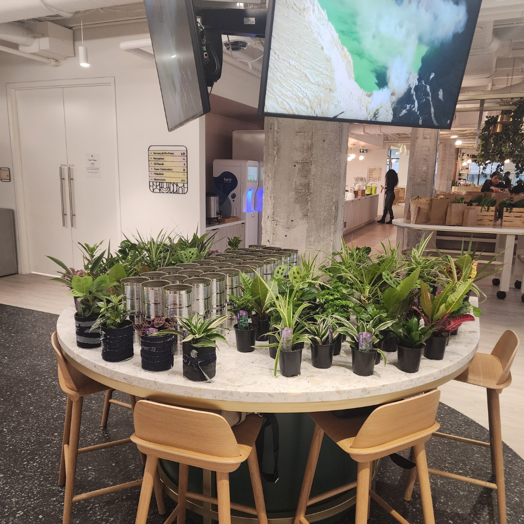 Plant Bar Plantita & Co. Bloom Bar & Studio