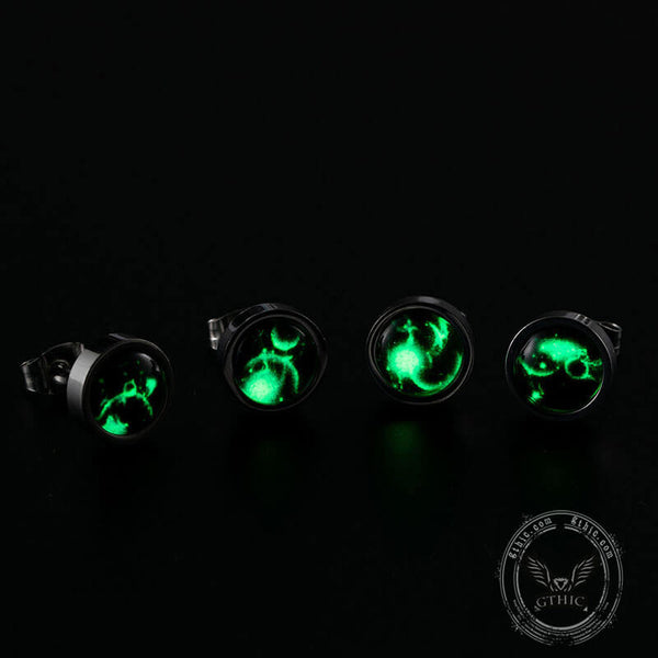 12 Constellation Zodiac Stainless Steel Luminous Stud Earrings