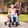 2-in-1 Foldable Rollator Walker with Seat abd 9 Inch Pneumatic Tires for Seniors-Red