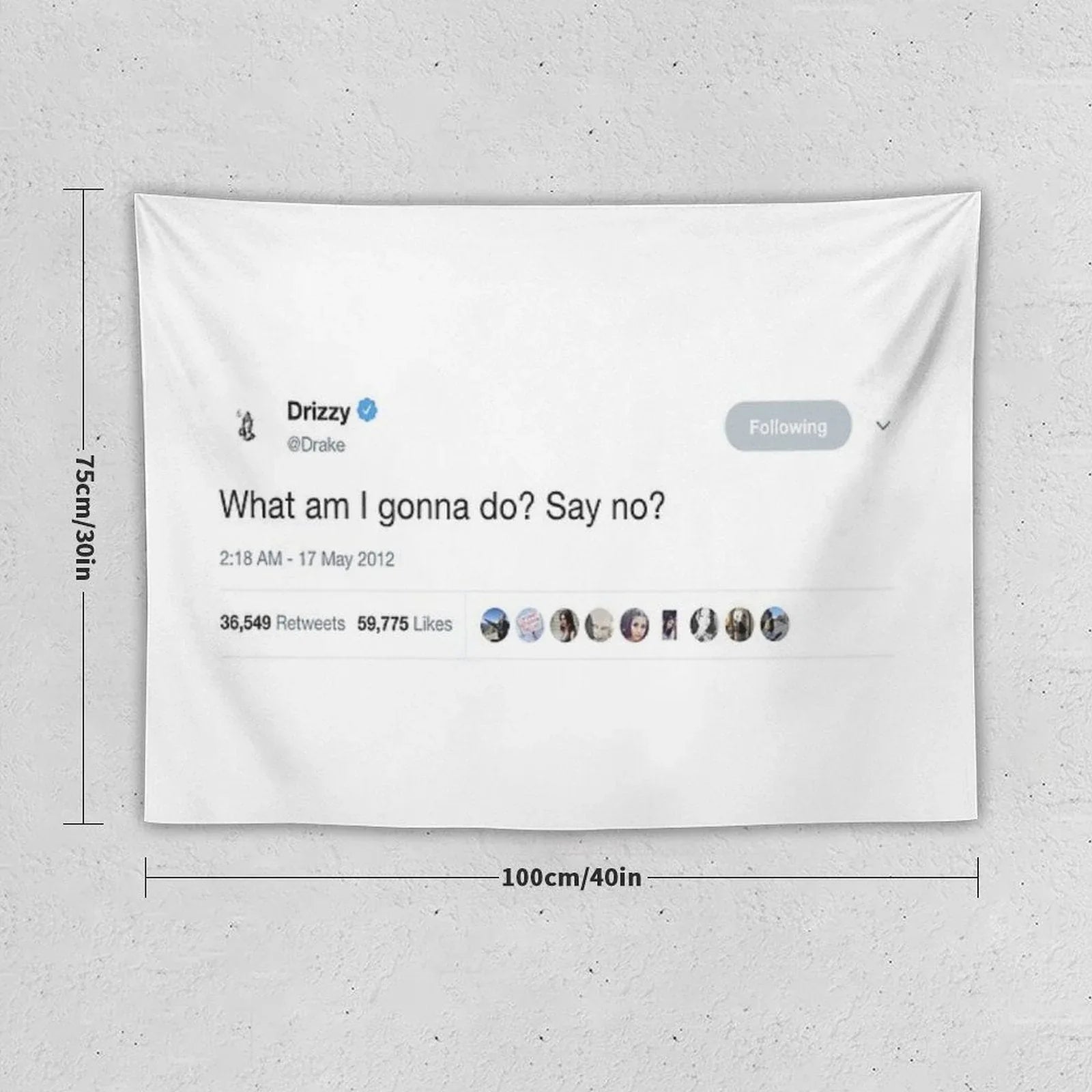 Drake - What Am I Gonna Do Say No Tweet Tapestry