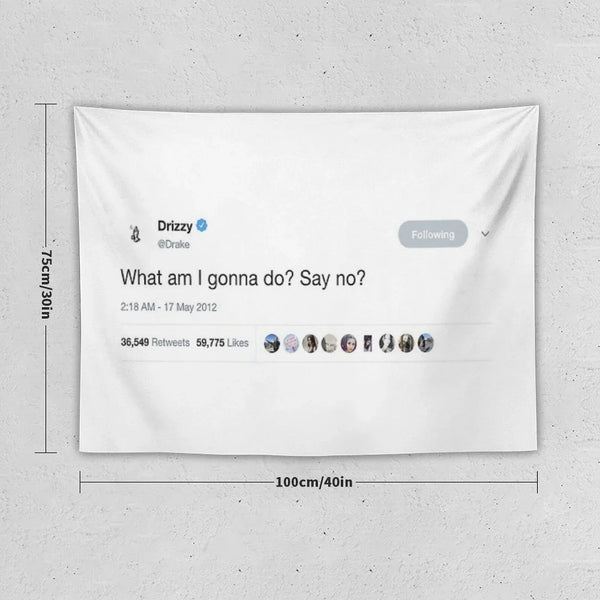 Drake - What Am I Gonna Do Say No Tweet Tapestry