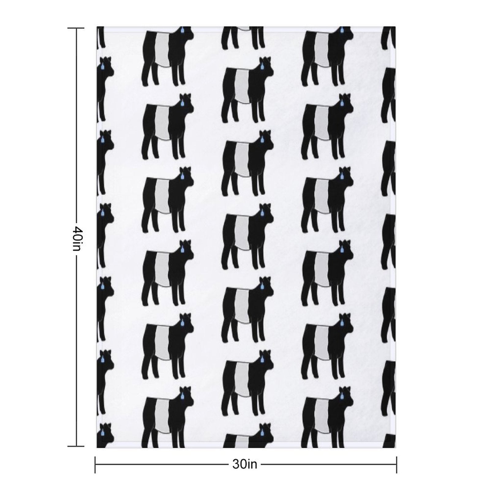 Belted Galloway Heifer Wrinkle-free Throw Blanket