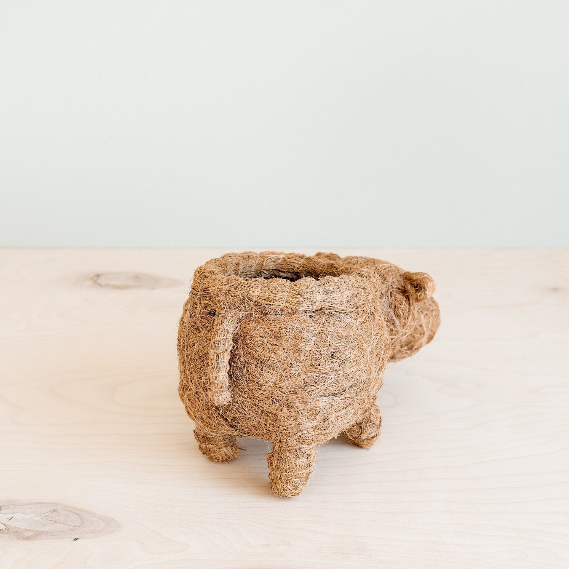 Hippo Planter - Coco Planter
