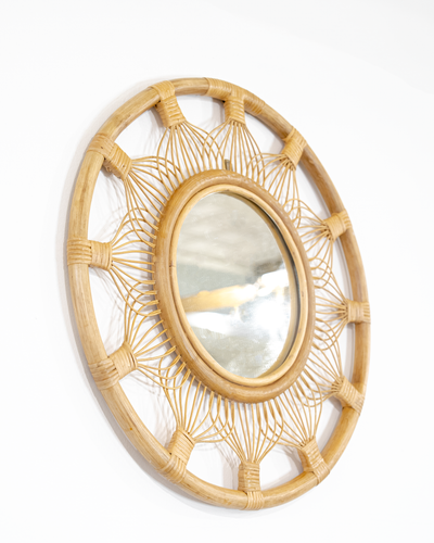 Whisker Mirror