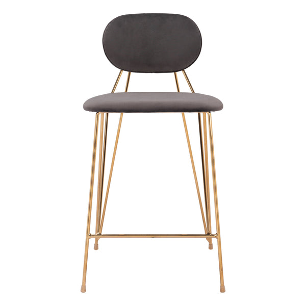 Georges Counter Stool (Set of 2) Gray & Gold