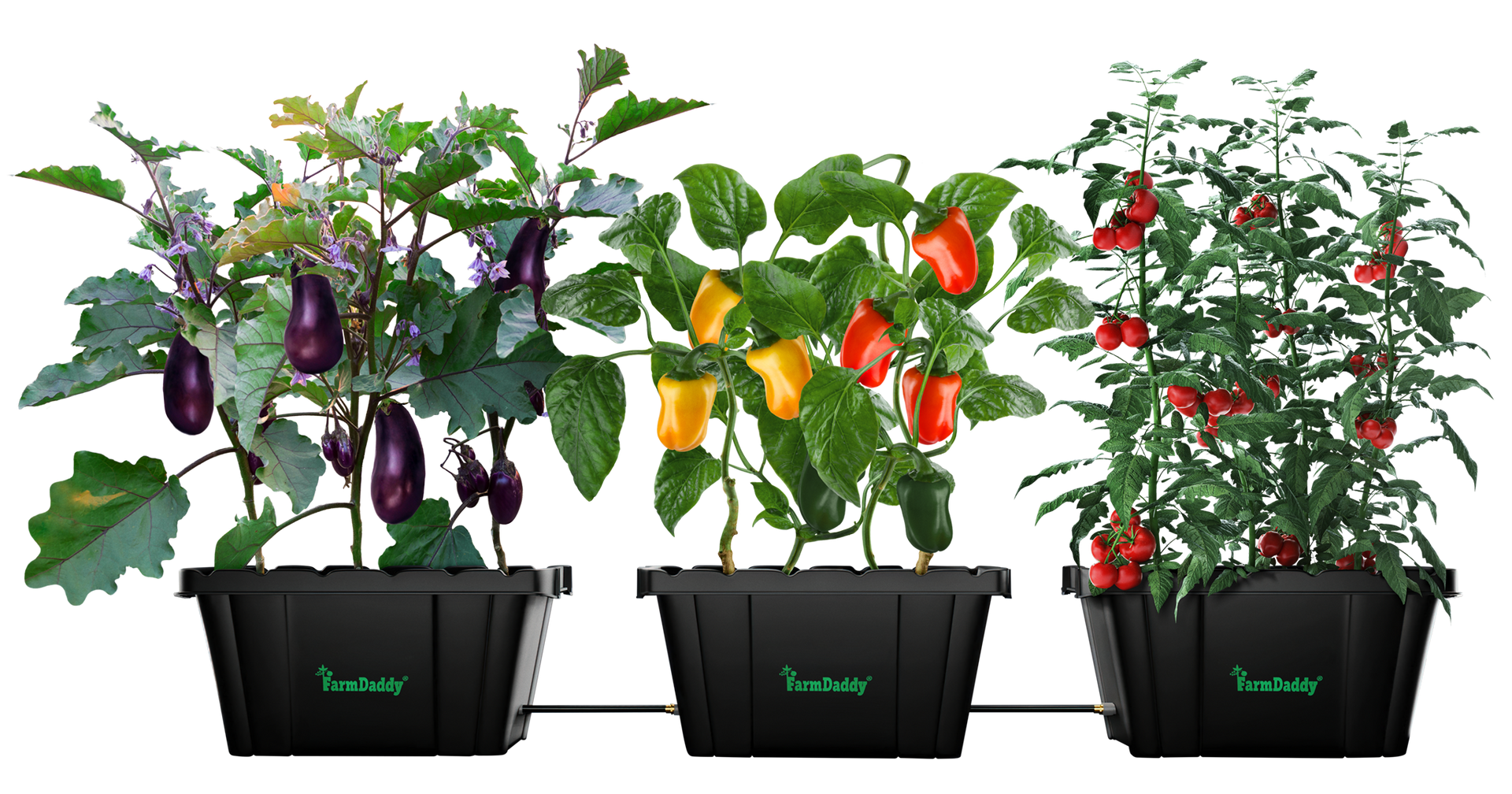 Self Watering Garden Box & GrowBox Planter System