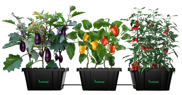 Self Watering Garden Box & GrowBox Planter System