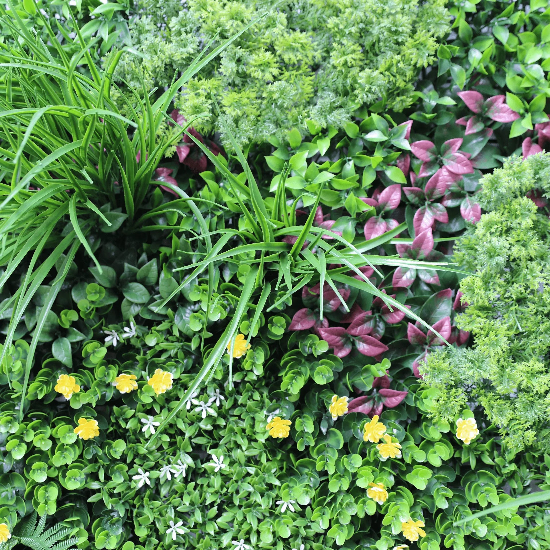 Sample Panel – Country Fern Vertical Garden (Small Sample)