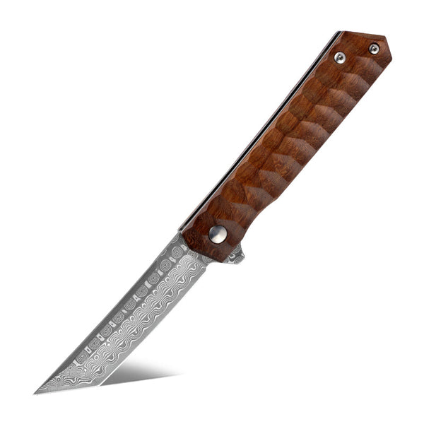 Lucifer VG10 Handmade Tanto Knife with Exotic Rose Wood Handle