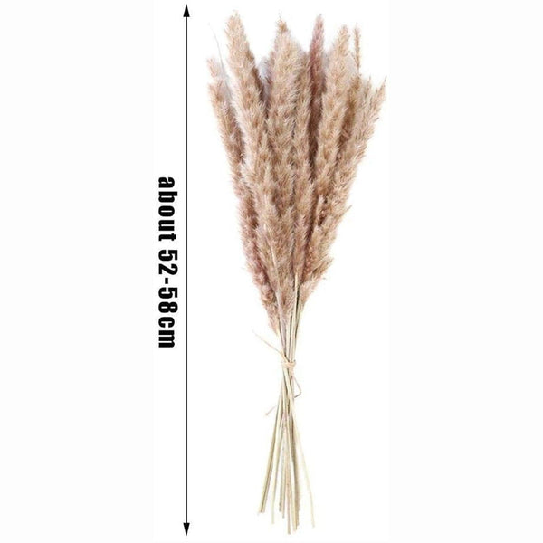 30/50pcs Bulrush Natural Dried Small Pampas Grass Artificial Decor Wedding Flower Bunch Home Office  Floor Vase Filler for Living Room Kitchen And Event Decoration