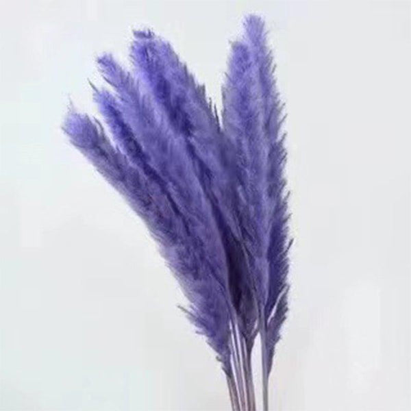 30Pcs Dried Bulrush Flowers Bouquet Home Wedding Decoration Table Flores Preservadas Pampas Grass Natural Reed Decor for Room