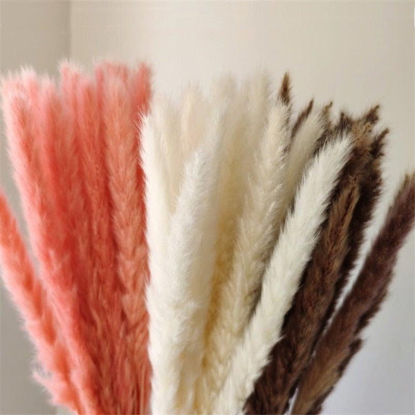 30Pcs Dried Bulrush Flowers Bouquet Home Wedding Decoration Table Flores Preservadas Pampas Grass Natural Reed Decor for Room