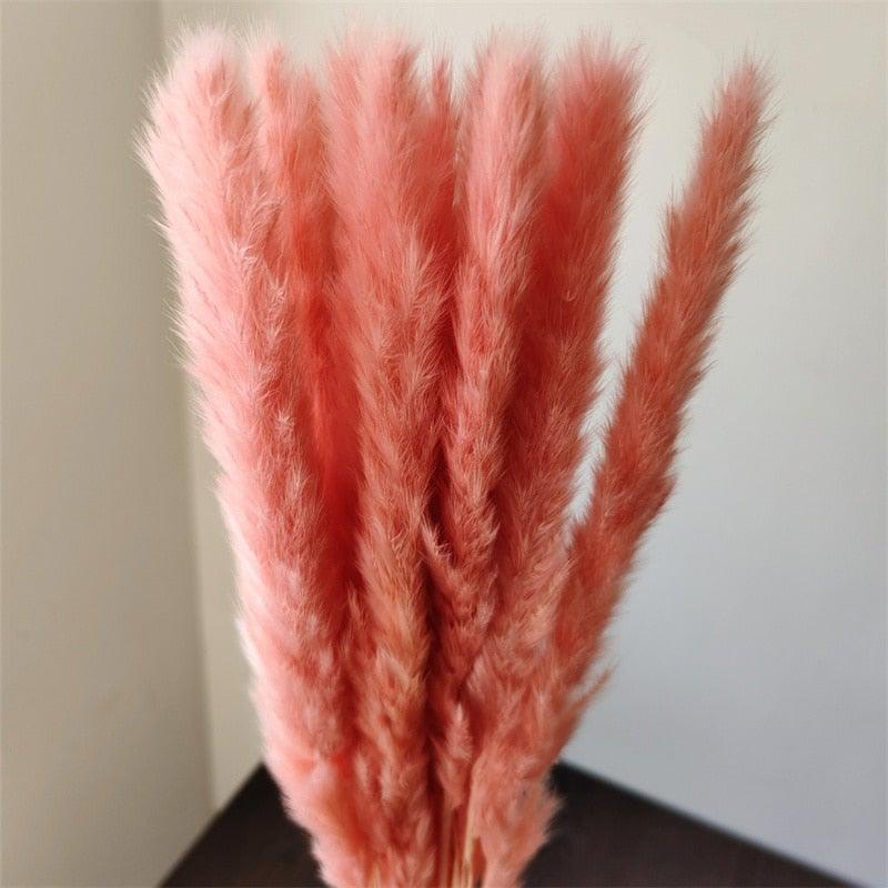 30Pcs Dried Bulrush Flowers Bouquet Home Wedding Decoration Table Flores Preservadas Pampas Grass Natural Reed Decor for Room