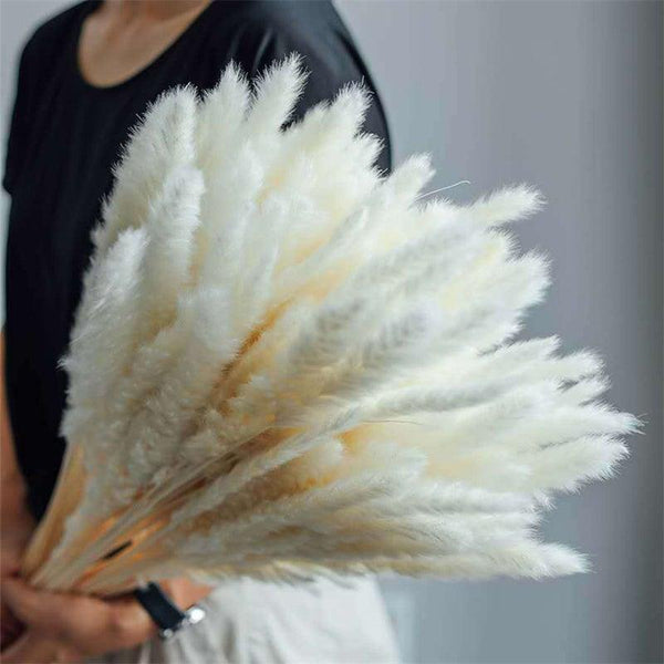 30Pcs Dried Bulrush Flowers Bouquet Home Wedding Decoration Table Flores Preservadas Pampas Grass Natural Reed Decor for Room
