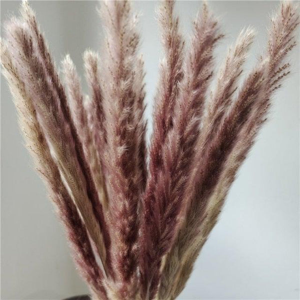 30Pcs Dried Bulrush Flowers Bouquet Home Wedding Decoration Table Flores Preservadas Pampas Grass Natural Reed Decor for Room