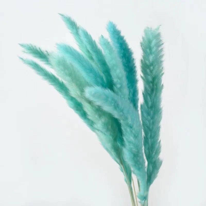 30Pcs Dried Bulrush Flowers Bouquet Home Wedding Decoration Table Flores Preservadas Pampas Grass Natural Reed Decor for Room