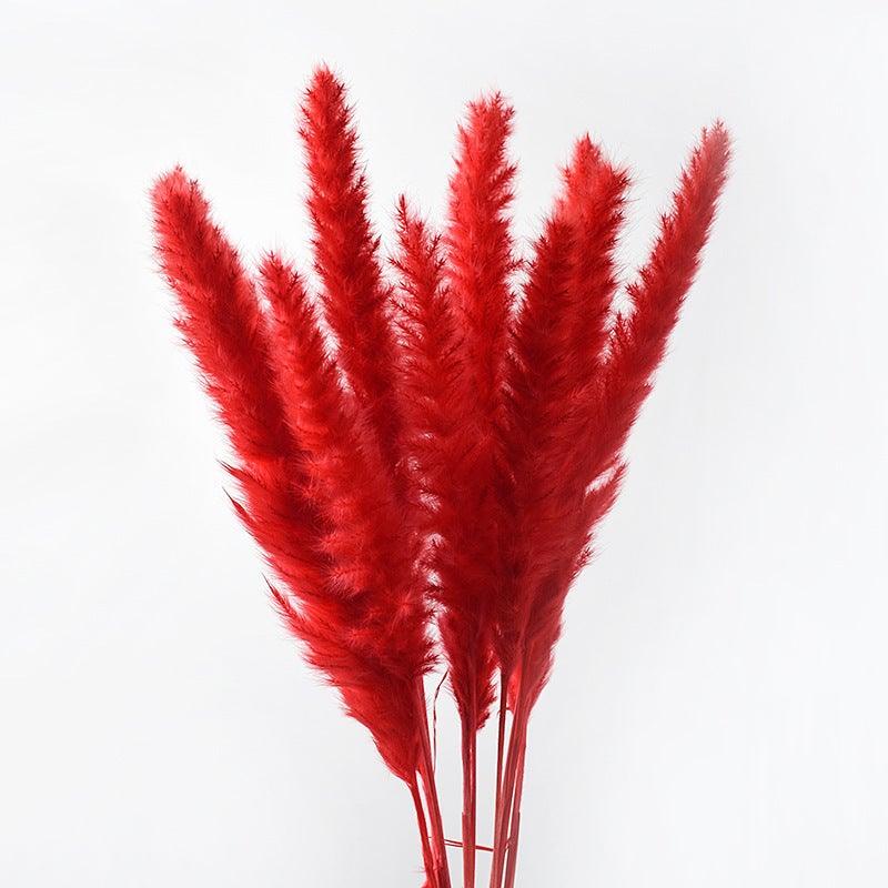 30Pcs Dried Bulrush Flowers Bouquet Home Wedding Decoration Table Flores Preservadas Pampas Grass Natural Reed Decor for Room