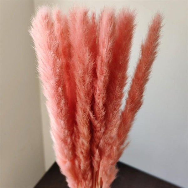 30Pcs Dried Bulrush Flowers Bouquet Home Wedding Decoration Table Flores Preservadas Pampas Grass Natural Reed Decor for Room