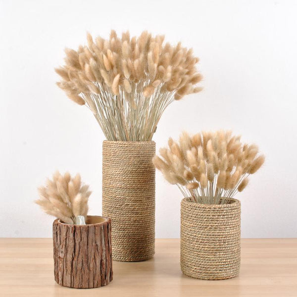 30pcs Natural Dried Pampas Grass Bouquet Pampas Grass Reeds Flowers Bulrush Bouquets Durable For for Vase Artificial Grass Room Décor Wedding Decorations