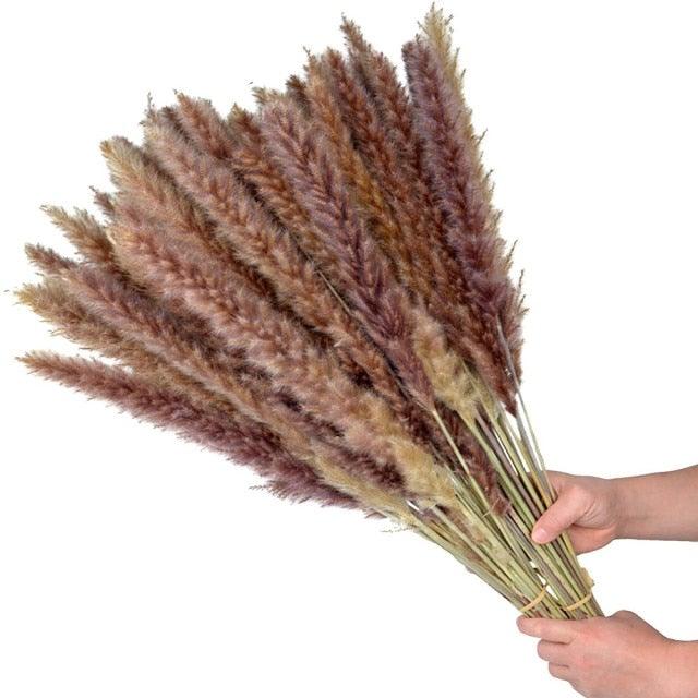 30pcs Natural Dried Pampas Grass Bouquet Pampas Grass Reeds Flowers Bulrush Bouquets Durable For for Vase Artificial Grass Room Décor Wedding Decorations