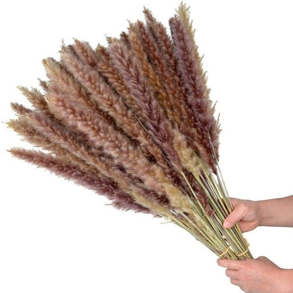 30pcs Natural Dried Pampas Grass Bouquet Pampas Grass Reeds Flowers Bulrush Bouquets Durable For for Vase Artificial Grass Room Décor Wedding Decorations