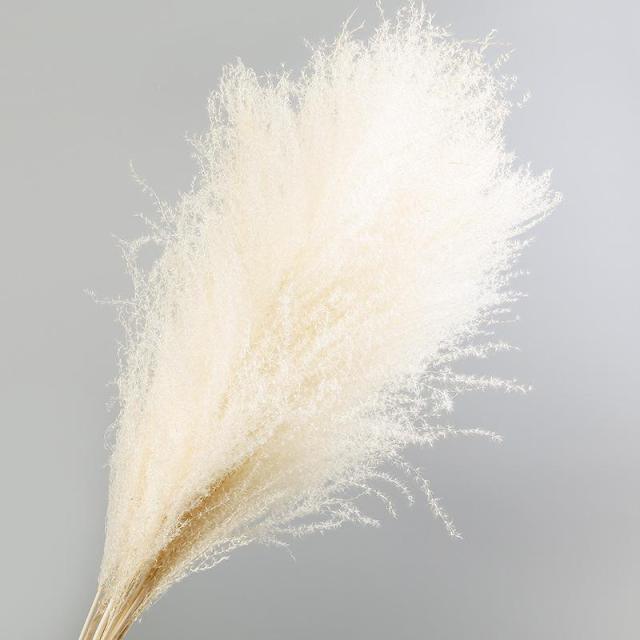 30pcs Natural Dried Pampas Grass Bouquet Pampas Grass Reeds Flowers Bulrush Bouquets Durable For for Vase Artificial Grass Room Décor Wedding Decorations