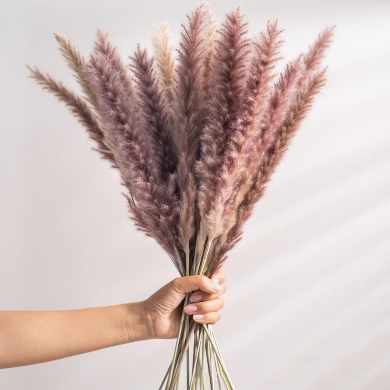 30pcs Natural Dried Pampas Grass Bouquet Pampas Grass Reeds Flowers Bulrush Bouquets Durable For for Vase Artificial Grass Room Décor Wedding Decorations