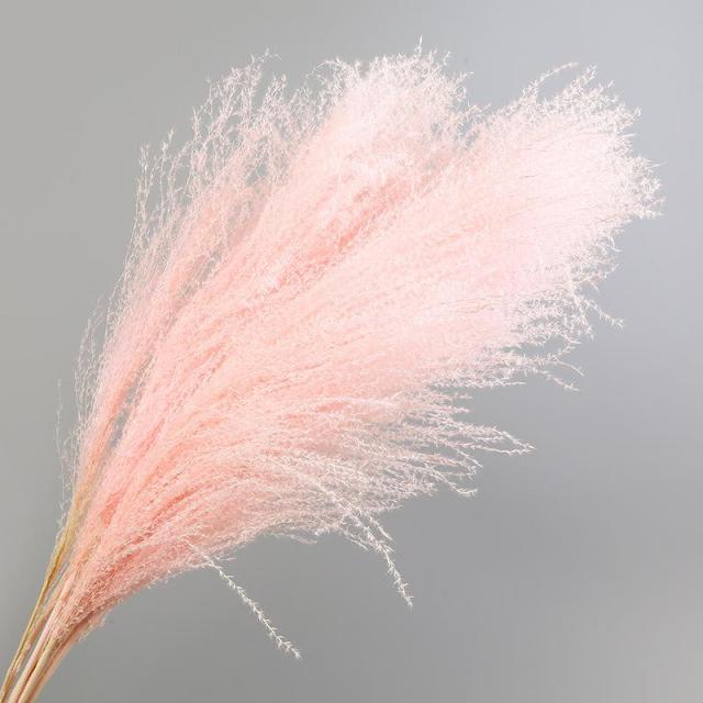 30pcs Natural Dried Pampas Grass Bouquet Pampas Grass Reeds Flowers Bulrush Bouquets Durable For for Vase Artificial Grass Room Décor Wedding Decorations