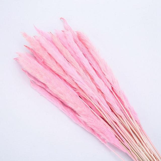 30pcs Natural Dried Pampas Grass Bouquet Pampas Grass Reeds Flowers Bulrush Bouquets Durable For for Vase Artificial Grass Room Décor Wedding Decorations