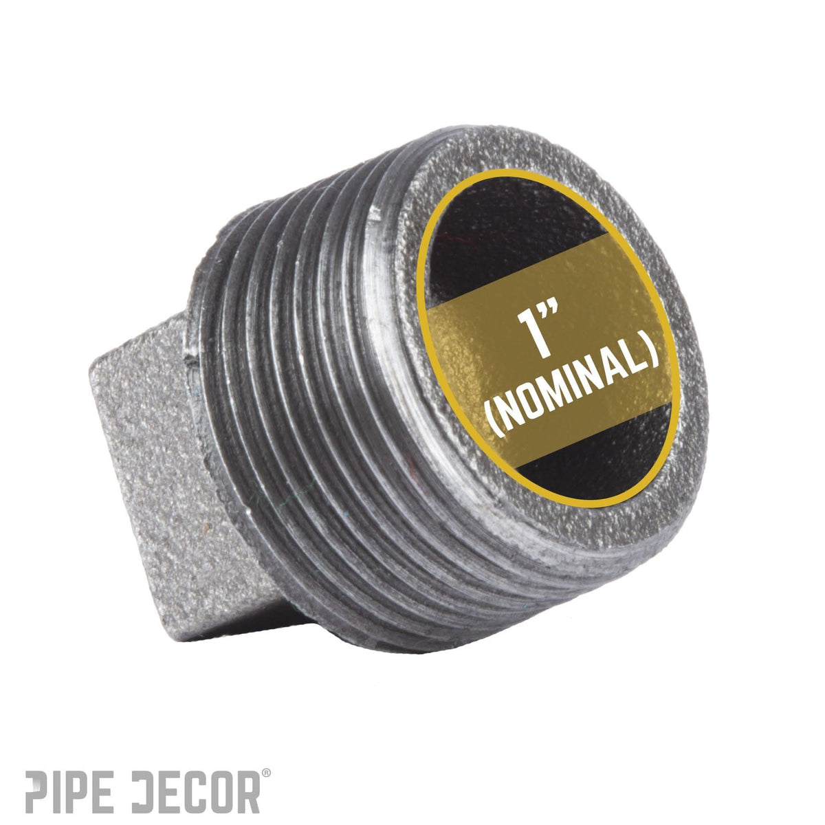 1 in. Black Plug