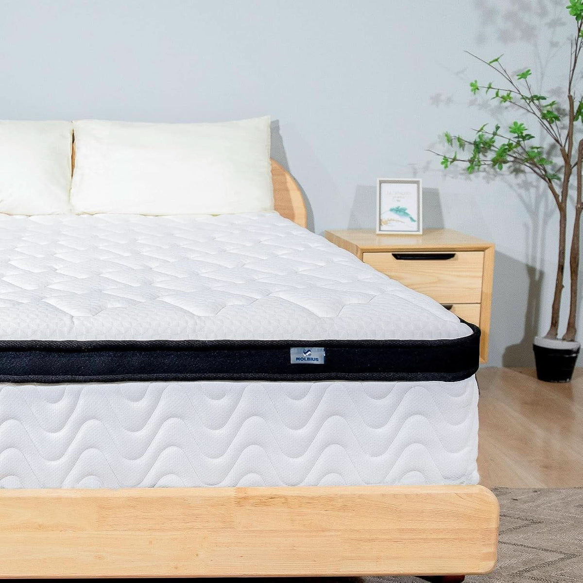 Full Size 10 Inch Hybrid Mattress Fiberglass Free Breathable