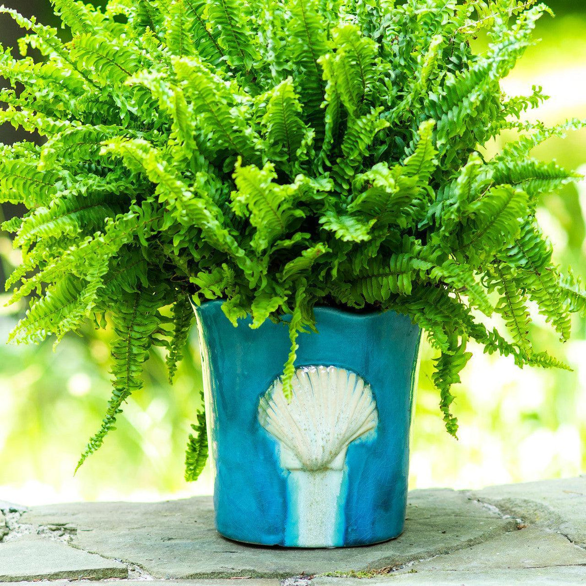 Ocean Grotto Seashell Scalloped Planter