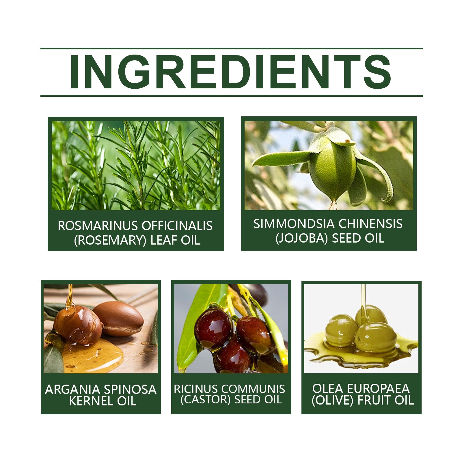 Rosemary Oil For Hair Growth, Promotes Healthy And Nourishing Strong Hair Essential Oil Hair Growth Oil