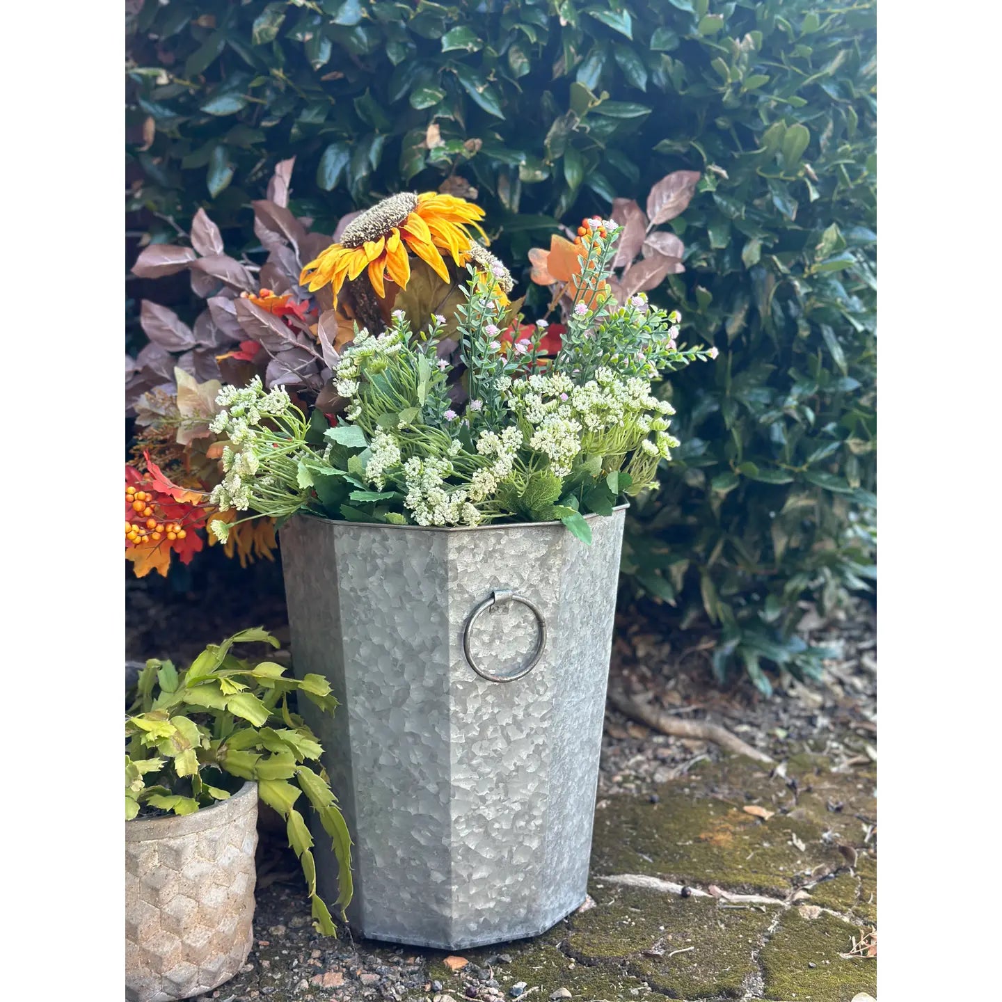 Beveled Zinc Planters With Handles